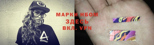 прущие грибы Верхнеуральск