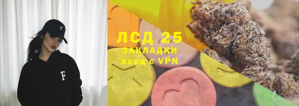 прущие грибы Верхнеуральск
