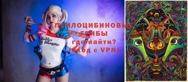 прущие грибы Верхнеуральск
