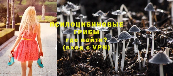 MDMA Верхний Тагил