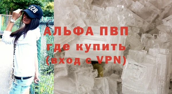 прущие грибы Верхнеуральск