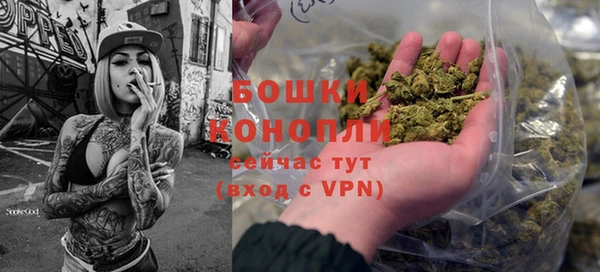 прущие грибы Верхнеуральск
